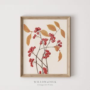 Vintage Botanical Art Print | Berry Branch  | Fall Wall Decor | Printable Digital Download Art | Willow & Folk - 094