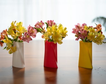 Heart Vase: PETG Elegant Decor