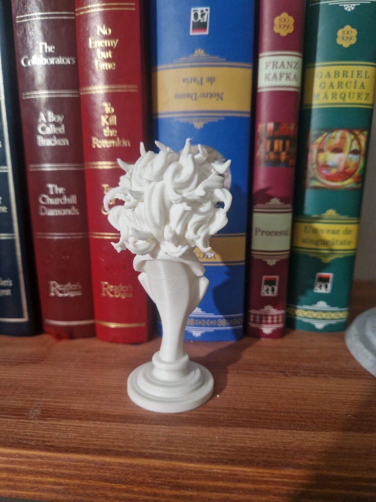Bust Albert Einstein Statue - Science Desk Decor Home Art Gift - Etsy