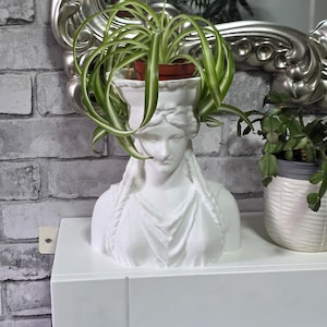May include: A white bust planter shaped like a classical woman's head and shoulders, holding a potted spider plant. The planter is on a white surface against a grey brick wall. A silver-framed mirror is in the background.