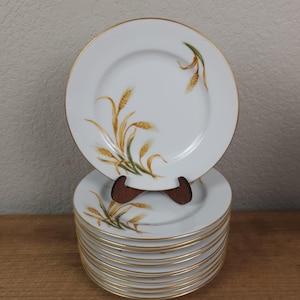 May include: A stack of white ceramic plates with a gold rim and a wheat stalk design. The wheat stalks are painted in shades of yellow, brown, and green. The plates are stacked on a wooden surface.