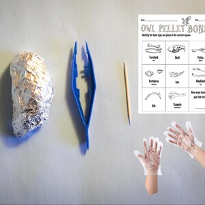 May include: A science kit for identifying owl pellet bones. The kit includes a foil-wrapped owl pellet, tweezers, a wooden skewer, a pair of clear plastic gloves, and a worksheet with illustrations of different bones. The worksheet has the title "Owl Pellet Bones" and instructions to identify the bone type and place it in the correct square.