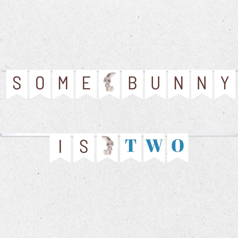 Some Bunny is Two Birthday Banner, Boy 2nd Birthday, Birthday Bunting ...