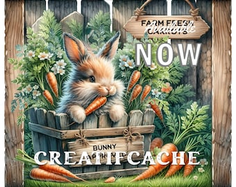 Cottontail Farms にんじん畑 手押し車 にんじん 野菜畑 ウサギ DIY