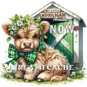 May include: A Highland cow calf wearing a green plaid bow and a flower crown sits in front of a green wooden shed with a sign that reads "Wee Little Hooligan Available Now".