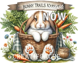 Funny Easter Bunny Carrot Sign | Rustic Spring Decor (Digital Download) PNG Sublimation