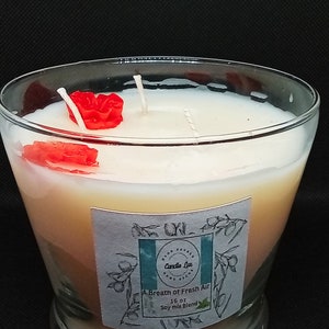 Puede incluir: Una vela de vidrio transparente con una base de cera blanca y una etiqueta verde y blanca que dice "A Breath of Fresh Air 16 oz Soy mix Blend". La vela tiene dos decoraciones de cera roja en forma de rosa en la parte superior.