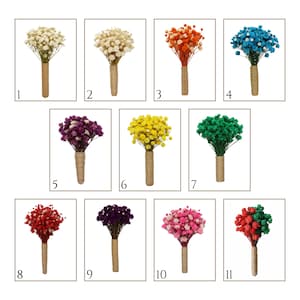 May include: A collection of eleven bouquets of dried baby's breath flowers in various colors. Each bouquet is wrapped with twine. Colors include white, cream, orange, blue, purple, yellow, green, red, dark purple, pink, and a red/green mix.