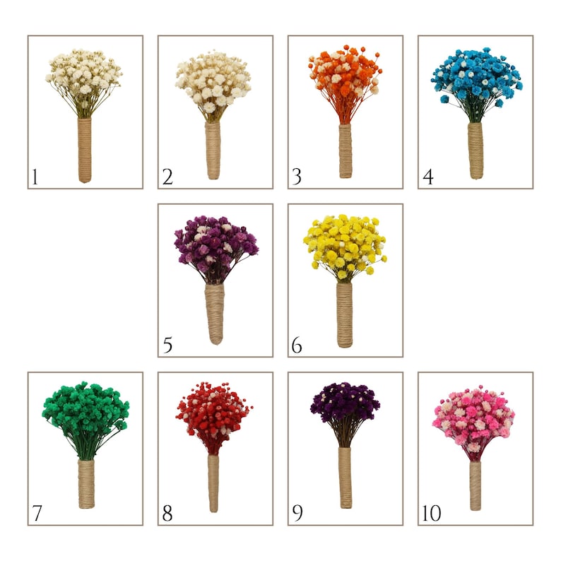 May include: A collection of ten bouquets of dried baby's breath flowers in various colors. Each bouquet is wrapped with twine at the base. Colors include white, orange, blue, purple, yellow, green, red, and pink.