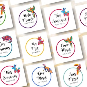 Cartes anniversaire bébé bilingues, Cartes bébé mois, Espagnol anglais, Accessoires photo, Cadeau baby shower, Coloré, Animal, Imprimable
