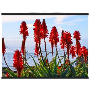 Orange Blume Bitter Aloe Kaktus am Strand Premium Matte Papier Poster mit Aufhänger
