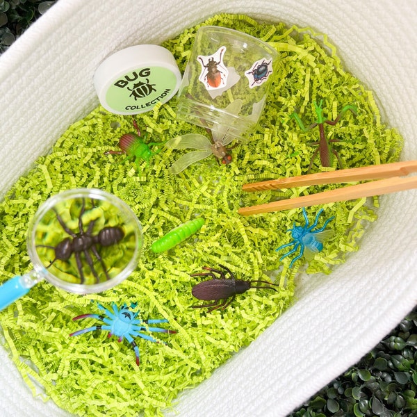 The Bug Collector Sensory Kit | Sensory Bin, Busy Bin, Gift for Kids, Toddler Gift, Montessori Play, Play Therapy, Easter Gifts