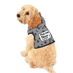 Pet Hoodie, Dog Lover Gift, Cute Pet Sweatshirt, Animal Lover Hoodie, Funny Dog Hoodie, Pet Me Now Sweater