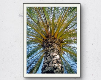 Palm Tree Holiday Digital Print | Landscape Poster | Spain Printable | Nature Wall Art | Summer Photography | Home Decor | Digital Download
