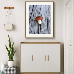 Forest Mushroom Poster Print | Landscape | Mushroom Printable | Photo Print | Nature Wall Art | Photography | Home Decor | Wall Fine Art