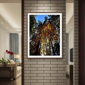 Impresión de póster de otoño con bosque amarillo / Paisaje / Otoño imprimible / Impresión fotográfica / Arte mural de naturaleza / Fotografía / Decoración del hogar / Bellas artes de pared