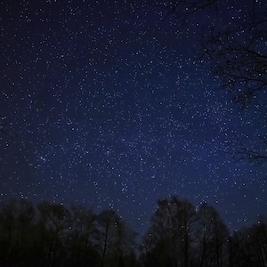Himmlischer Himmel Wald Digitaldruck | Poster Nachthimmel | Nachtwald Kunst | Sterne Wandkunst | Wohnkultur | Astronomie Drucke | Digitaler Download