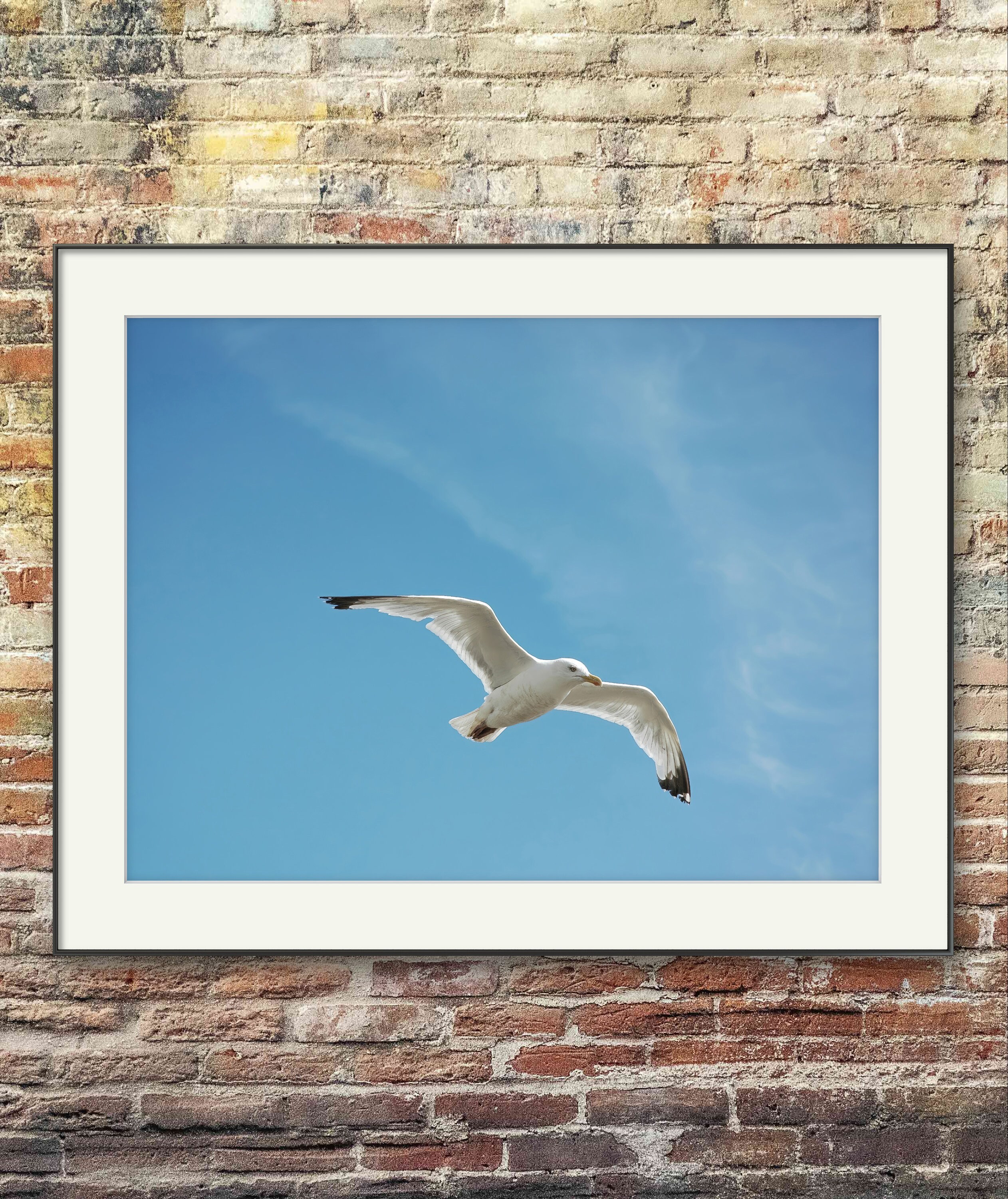 Flying Seagull Photo Print: Coastal Sky Wall Art (digital Download) - Etsy