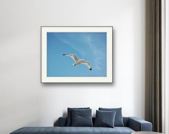 Flying Seagull Fine Art Print: Coastal Sky Photography
