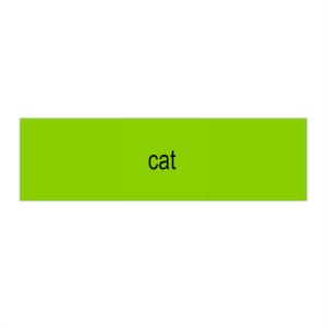 Cat, not Brat Bumper Sticker
