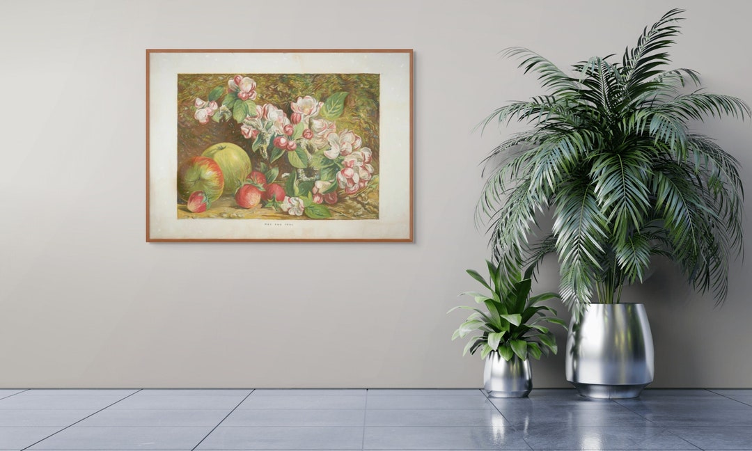 Vintage Botanical Print, Apple Blossoms and Fruit Illustration (PDF) - Etsy