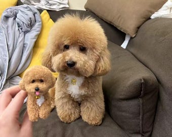 Handmade Customized Simulated Plush Dog Portrait Memorial Gift for dog lovers, Custom pets gift, Customised warmth for your loved dog gifts