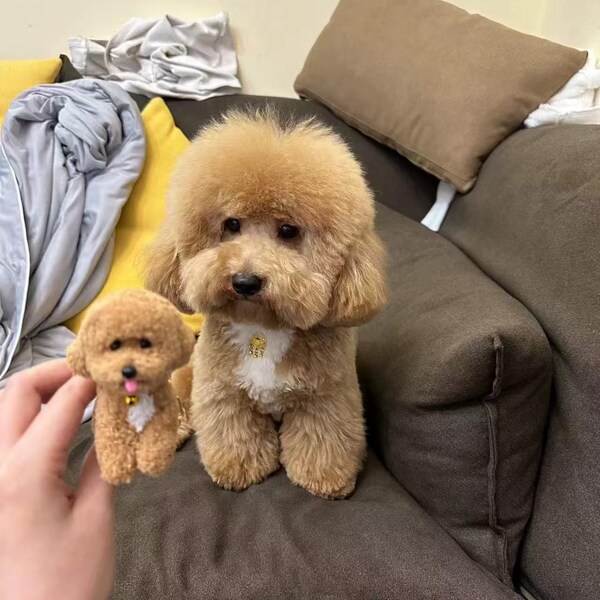 Handmade Customized Simulated Plush Dog Portrait Memorial Gift for dog lovers, Custom pets gift, Customised warmth for your loved dog gifts