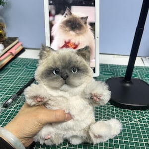 Handmade Customized Simulated Plush Cat Portrait Souvenir Gift for Cat lovers, Custom Pet Plush, Handmade Cat toy, Small Cat Custom