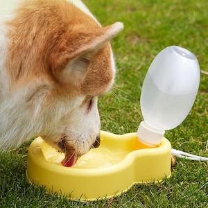 Botella de agua portátil de regalo para perros, botella de agua portátil de 500 ml para mascotas, botella de agua creativa para mascotas, botella de agua creativa para perros
