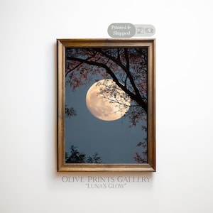 May include: A framed print of a full moon shining through tree branches with red and pink leaves. The artwork is titled "Luna's Glow" and is from Olive Prints Gallery.