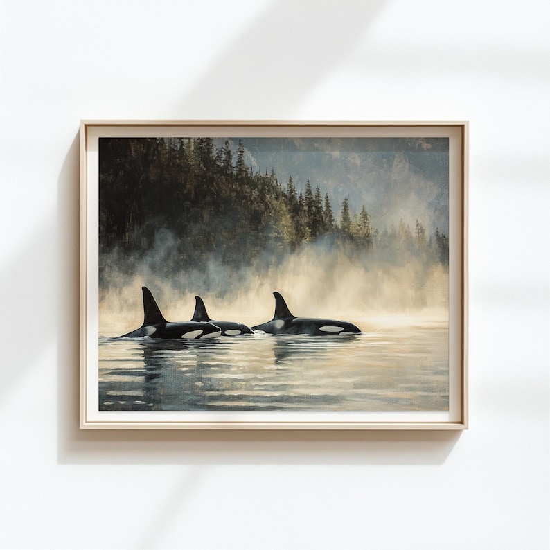 May include: Three orcas swim in a misty, forested lake. The orcas are black and white, with their dorsal fins breaking the surface of the water. The background is a soft, muted green and blue, with a hazy mist.