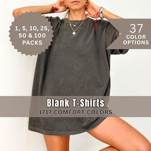 Comfort Colors 1717 Unisex Heavyweight T-Shirt Blanks, Vintage Tee, Wholesale Prices