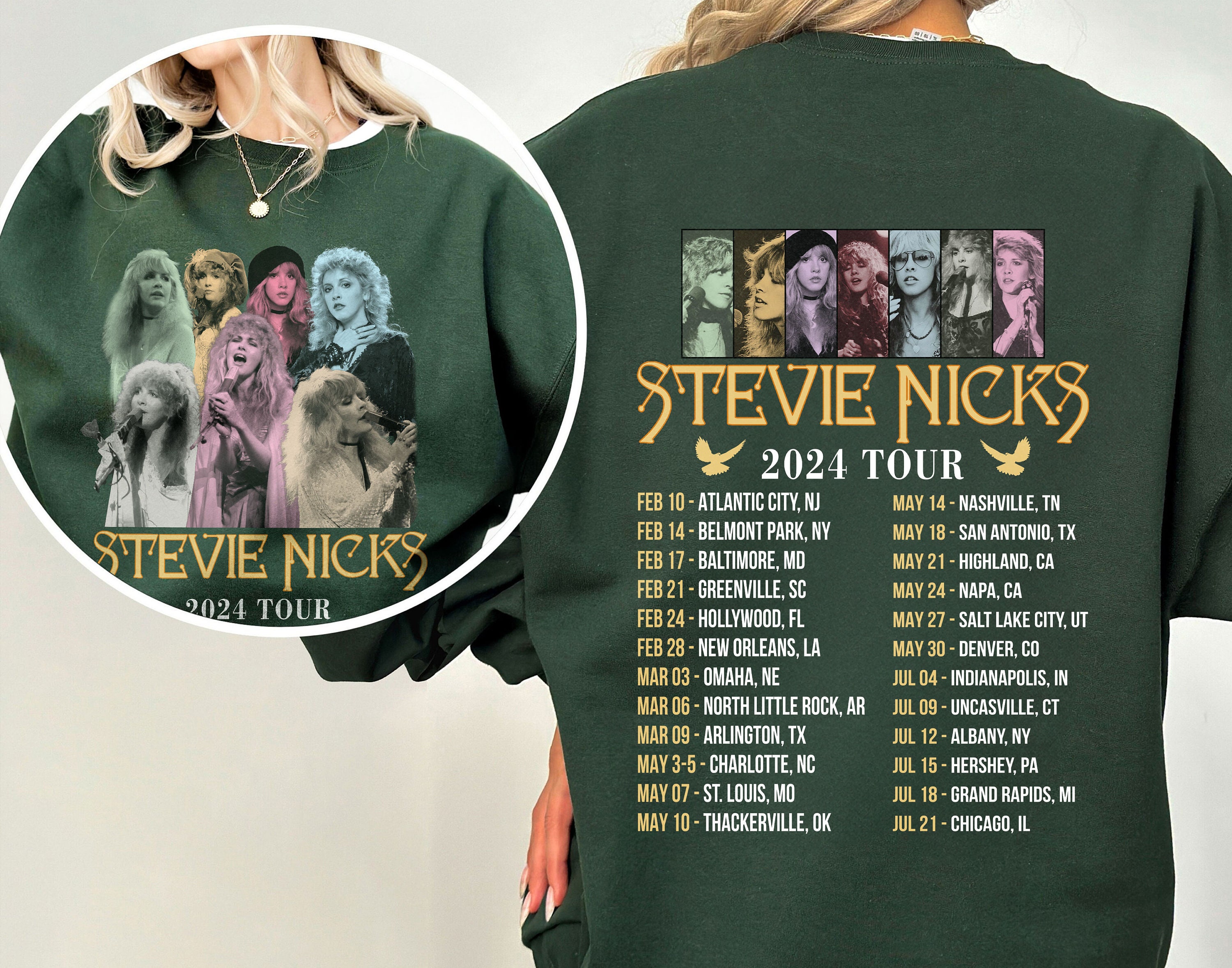 Stevie Nicks 2024 Tour Shirt, Stevie Nicks Live In Concert Shirt