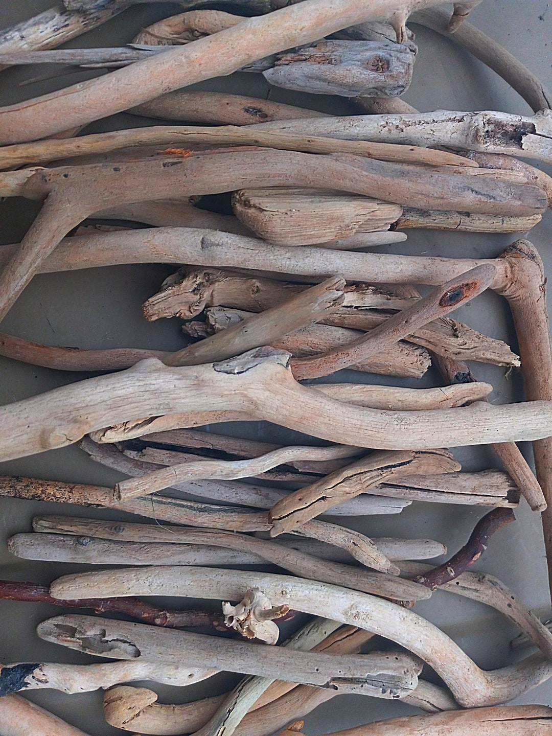 Drift Wood | Terrarium Decor | Aquarium | Fish Tank | Spider Hide ...