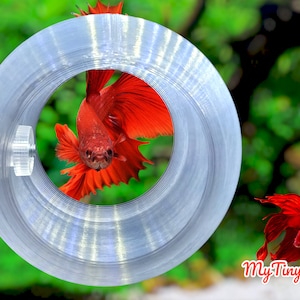 Beta Fish Sleeper Bulb | Fish Hide | Fish Hammock | Moss Ball Holder | Suction Cup