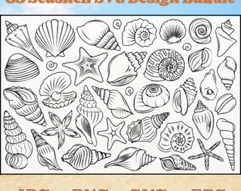 35 Seashells SVG Bundle | Seashell SVG | Beach Svg | Seashell Line Art Bundle | Seashell SVG Cut Files for Cricut | Shell Svg | Ocean Svg