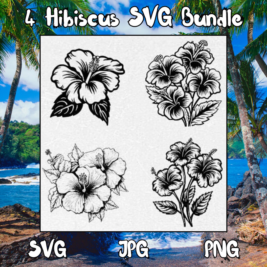4 Hibiscus SVG Graphic Bundle Hibiscus Clip Art Hawaiian Flower Svg ...