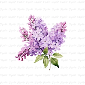 Lila Blume SVG Grafik V10 | Lavendel SVG | Handgezeichnete Designs | Sublimationsdruck | Niedliche Blumen Clipart | Blumen PNG | Flieder Kartengestaltung