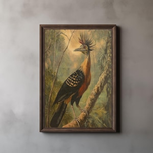 Hoatzin Print, John James Audubon, Nature Wall Art, Printable Wall Art, Digital Download 249