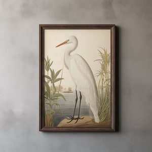 Snowy Egret Audubon Style Print, John James Audubon, Snow Heron, Sea Bird Print, Vintage Painting, Printable Wall Art, Digital Download 32