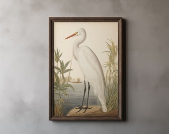 Snowy Egret Audubon Style Print, John James Audubon, Snow Heron, Sea Bird Print, Vintage Painting, Printable Wall Art, Digital Download 32