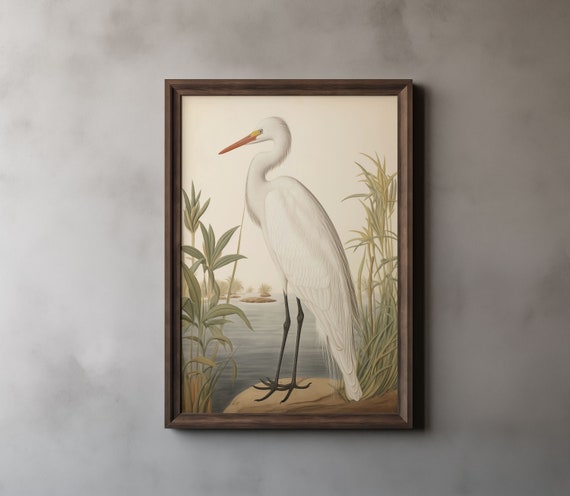 Snowy Egret Audubon Style Print, John James Audubon, Snow Heron, Sea Bird Print, Vintage Painting, Printable Wall Art, Digital Download 32