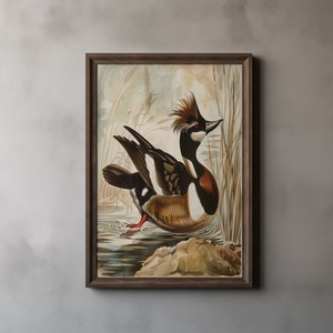 Audubon Hooded Merganser Print, John James Audubon, Vintage Bird Painting, Bird Lover Gift, Antique Art, Home Decor, Printable Wall Art 59