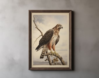 Red-Tailed Hawk Print, John James Audubon, Vintage Audubon Style Painting, Birds of America, Birds of Prey, Hawk Art, Printable Wall Art 37