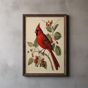 Kardinal Print, John James Audubon, Vintage Retro Vogel Kunst, Natur Kunst, Birds of America, Wohnkultur, druckbare Wandkunst 36