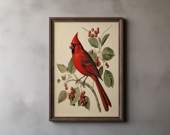 Northern Cardinal Print, John James Audubon, Vintage Retro Bird Art, Nature Art, Birds of America, Home Decor, Printable Wall Art 36