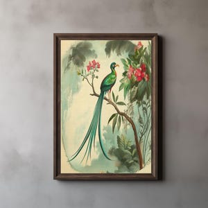 Resplendent Quetzal Print, John James Audubon, Nature Wall Art, Printable Wall Art, Digital Download 251