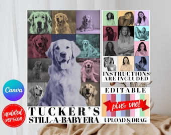 Editable Eras Tour TEMPLATE, Personalized Eras Tour Themed Template, Your Version Canva Template, Design for DIY T shirt 2025 concerts