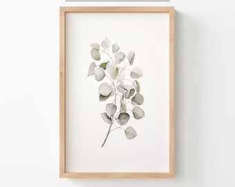 Printable Eucalyptus Leaves Plant Branch Drawing | Vintage Print | Vintage Pencil Drawing | Digital Download | Nordic Vintage Prints