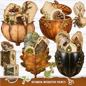 Könnte beinhalten: Eine Sammlung botanischer interaktiver Taschen mit verschiedenen Behältern in Form von Blättern, Eicheln und Käfern. Das Set enthält dekorative Anhänger mit Illustrationen von Beeren, Fröschen, Insekten, Pilzen und Waldlandschaften im Vintage-Stil.